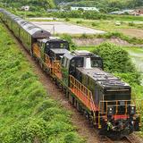 Amazon.co.jp: 鉄道車輌ガイド Vol.27 80系湘南電車 最後の頃